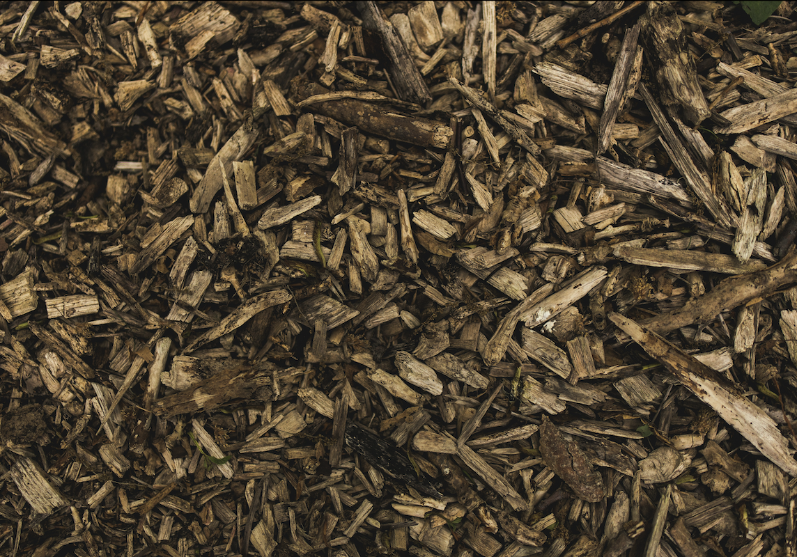 Screenshot 2025-04-30 at 12.13.38 PM